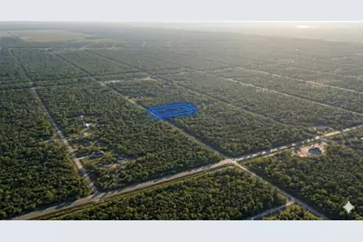 10655 Turpin, Hastings, FL 32145 - Photo 5