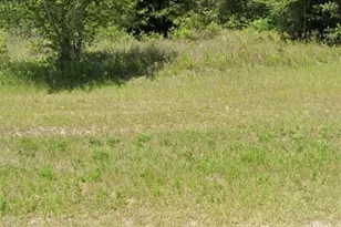 SW 128 St, Ocala, FL 34473 - Photo 1