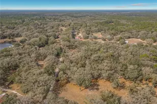 15271 SE 24th Street Rd, Ocklawaha, FL 32179 - Photo 77