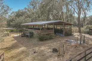 15271 SE 24th Street Rd, Ocklawaha, FL 32179 - Photo 59