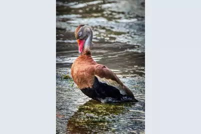 615 Midway Drive #B, Ocala, FL 34472 - Photo 29