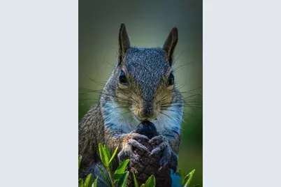 615 Midway Drive #B, Ocala, FL 34472 - Photo 31