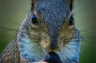 615 Midway Dr, Ocala, FL 34472 - Photo 31