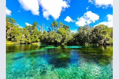 8583 N Tibet Terrace, Dunnellon, FL 34433 - Photo 55