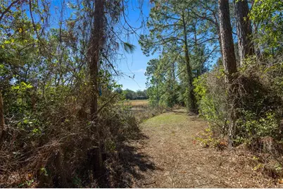 18434 SE 24th Street, Silver Springs, FL 34488 - Photo 3