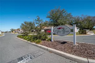 2309 Angel Fish Loop, Leesburg, FL 34748 - Photo 41