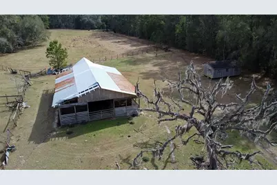 10550 NW 115th Avenue, Reddick, FL 32686 - Photo 9