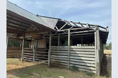 10550 NW 115th Avenue, Reddick, FL 32686 - Photo 5