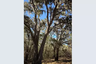 10550 NW 115th Avenue, Reddick, FL 32686 - Photo 3