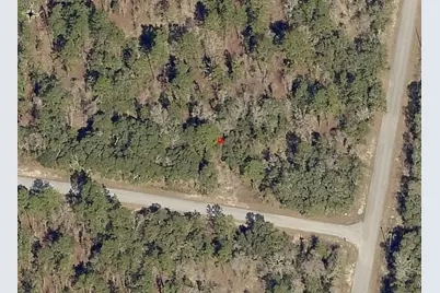 Lot 10 SW Fig Tree Lane, Dunnellon, FL 34431 - Photo 3