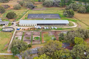 6025 NW 115th Ave, Ocala, FL 34482 - Photo 19