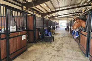 6025 NW 115th Ave, Ocala, FL 34482 - Photo 51