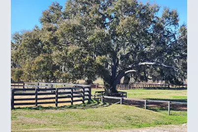 6025 NW 115th Avenue, Ocala, FL 34482 - Photo 55