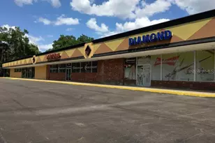 2911 NE Jacksonville Rd, Ocala, FL 34479 - Photo 1