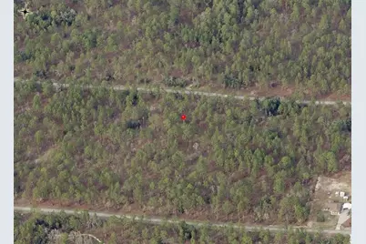 Lot 7 NW Hemlock Avenue, Dunnellon, FL 34431 - Photo 5