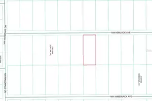 Lot 7 NW Hemlock Ave, Dunnellon, FL 34431 - Photo 1