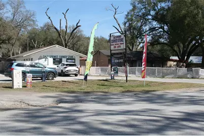 12959 NE 250th Court, Salt Springs, FL 32134 - Photo 1