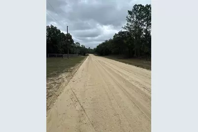 0000 SE 123 Rd Terrace, Morriston, FL 32668 - Photo 3