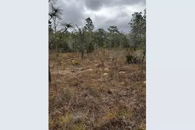 0000 SE 123 Rd Terrace, Morriston, FL 32668 - Photo 9