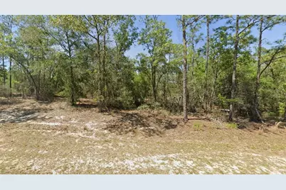 00 SW Rainbow Lakes Boulevard, Dunnellon, FL 34431 - Photo 1