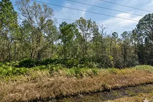 10720 Yeager Ave, Hastings, FL 32145 - Photo 1