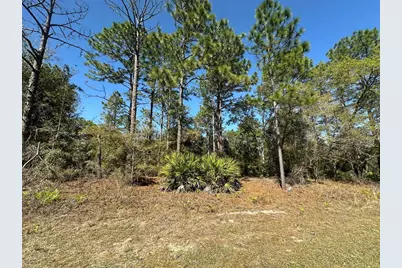 833 W Champlain Lane, Citrus Springs, FL 34434 - Photo 1