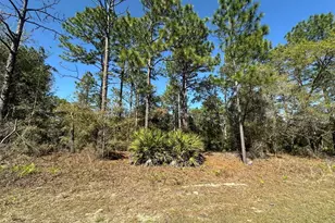 833 W Champlain Ln, Citrus Springs, FL 34434 - Photo 1