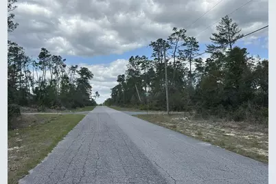 8385 N Farrington Drive, Citrus Springs, FL 34433 - Photo 5