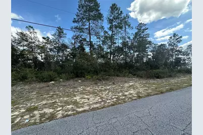 8385 N Farrington Drive, Citrus Springs, FL 34433 - Photo 3