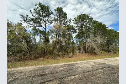 1639 W Pendleton Street, Dunnellon, FL 34434 - Photo 1