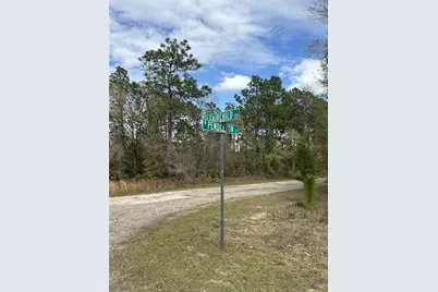 1639 W Pendleton Street, Dunnellon, FL 34434 - Photo 5