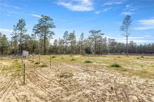 14440 SE 21st Pl, Morriston, FL 32668 - Photo 29