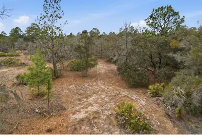 6199 W Peking Court, Dunnellon, FL 34433 - Photo 5