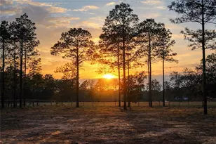 6 SW Lombardy Ln, Dunnellon, FL 34431 - Photo 1