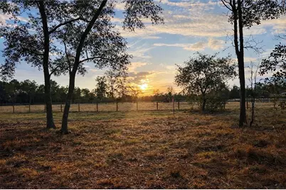 6 SW Lombardy Lane, Dunnellon, FL 34431 - Photo 5