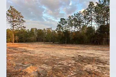 6 SW Lombardy Lane, Dunnellon, FL 34431 - Photo 11