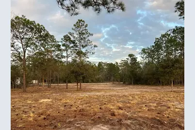 6 SW Lombardy Lane, Dunnellon, FL 34431 - Photo 9