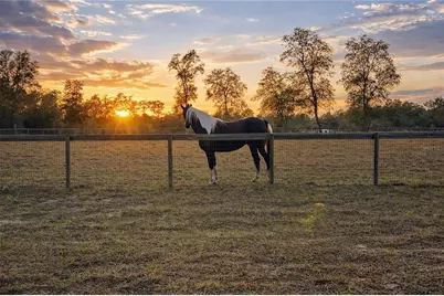 6 SW Lombardy Lane, Dunnellon, FL 34431 - Photo 7