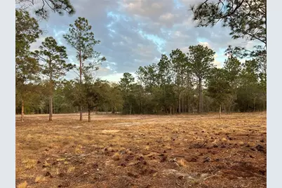 6 SW Lombardy Lane, Dunnellon, FL 34431 - Photo 3