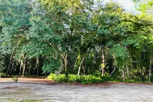 799 Marion Oaks Ln, Ocala, FL 34473 - Photo 59