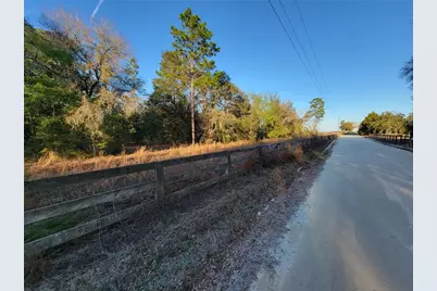 0 NE 20th Street, Williston, FL 32696 - Photo 3