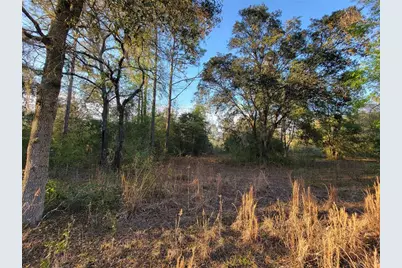 0 NE 20th Street, Williston, FL 32696 - Photo 13