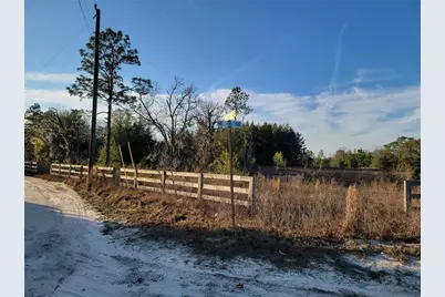 0 NE 20th Street, Williston, FL 32696 - Photo 5