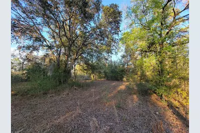 0 NE 20th Street, Williston, FL 32696 - Photo 1