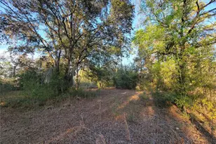 0 NE 20th St, Williston, FL 32696 - Photo 1