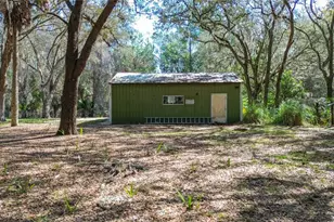 13455 NE 228 Ln Rd, Fort Mc Coy, FL 32134 - Photo 9