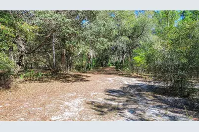 13455 NE 228th Lane Road, Fort Mc Coy, FL 32134 - Photo 57