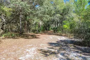 13455 NE 228 Ln Rd, Fort Mc Coy, FL 32134 - Photo 57