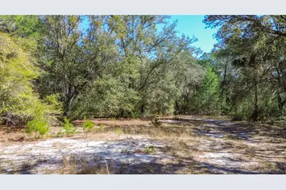 13455 NE 228th Lane Road, Fort Mc Coy, FL 32134 - Photo 59