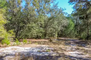 13455 NE 228 Ln Rd, Fort Mc Coy, FL 32134 - Photo 59